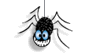 A Spider