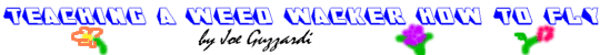 name.gif (7603 bytes)
