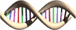 Dna.gif (18122 bytes)