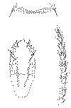 Pseudo1.tif (101132 bytes)