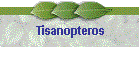 Tisanopteros