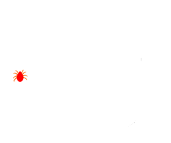 acaro.gif (104440 bytes)