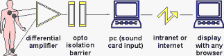 ecg.gif (4503 byte)