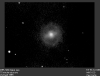 m95.gif (21981 bytes)