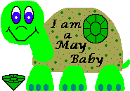 It's all about ME and TRAVIE and TURTLES! 