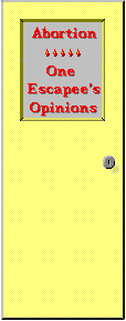 Abortion: One Escapee's Opinions
