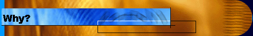  Why? 