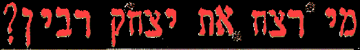 How and by Whom was Rabin Assassinated?