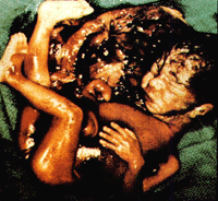 /user/21-weeks.gif