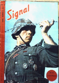 wpeD.gif (34340 bytes)