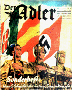 wpe8.gif (19933 bytes)