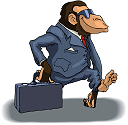Chimpanzee