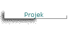 Projek
