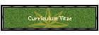 Curriculum Vitae