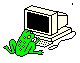 Frog At Computer