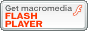 get macromedia's flash plugin