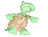 adorable turtle