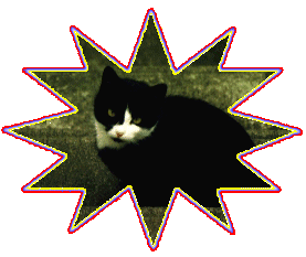 chaputa
