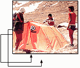 T&M.gif (9136 bytes)