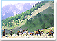 m4.gif (5567 bytes)
