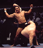 Vitor Belfort victorious