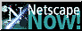 Netscape Now!