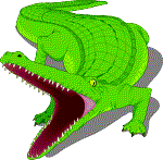 Gator