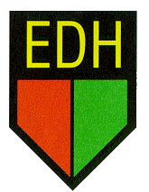 logo Delfste Handbalvereniging