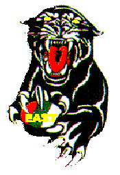logo, PESH - Plano East Ice Hockey