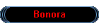 Bonora