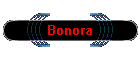 Bonora