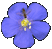 blueflower.gif - 1610 Bytes