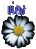 flower20.gif - 1774 Bytes