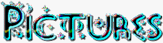 wpe8E.gif (13603 bytes)
