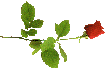 tinyrose.gif (2706 bytes)