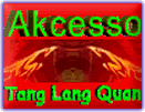 Kung Fu Akcesso e seus cursos