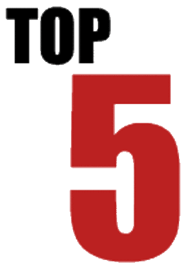 El Top 5 de los Buscadores