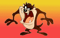 Taz