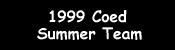 1999 Coed Summer Team