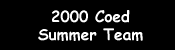 2000 Coed Summer Team
