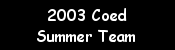 2003 Coed Summer Team