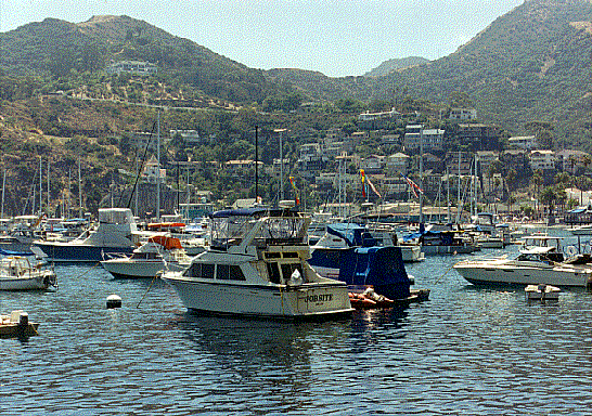 A View Of Avalon Harbour