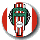 FK Viktoria Zizkov
