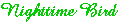 logo nighttime bird