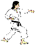 Karate Figure