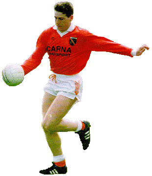 Diarmid Marsden in action against Laois in 1994