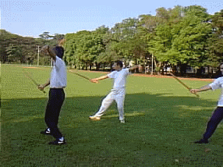 espada.gif (490421 bytes)
