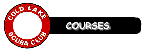 Courses