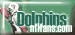 Dolphins Board