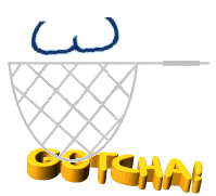 caught in the net